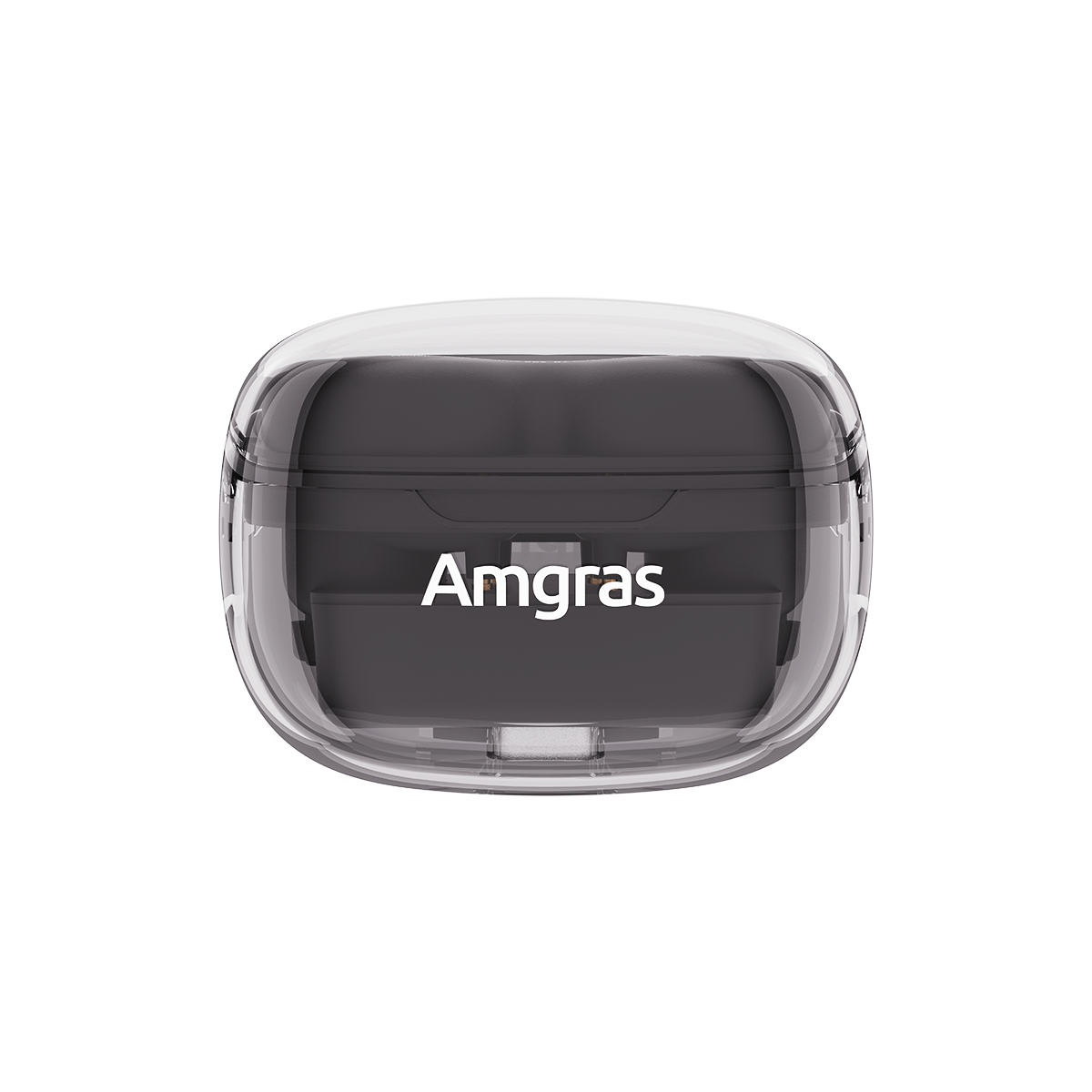 Amgras Future SE2