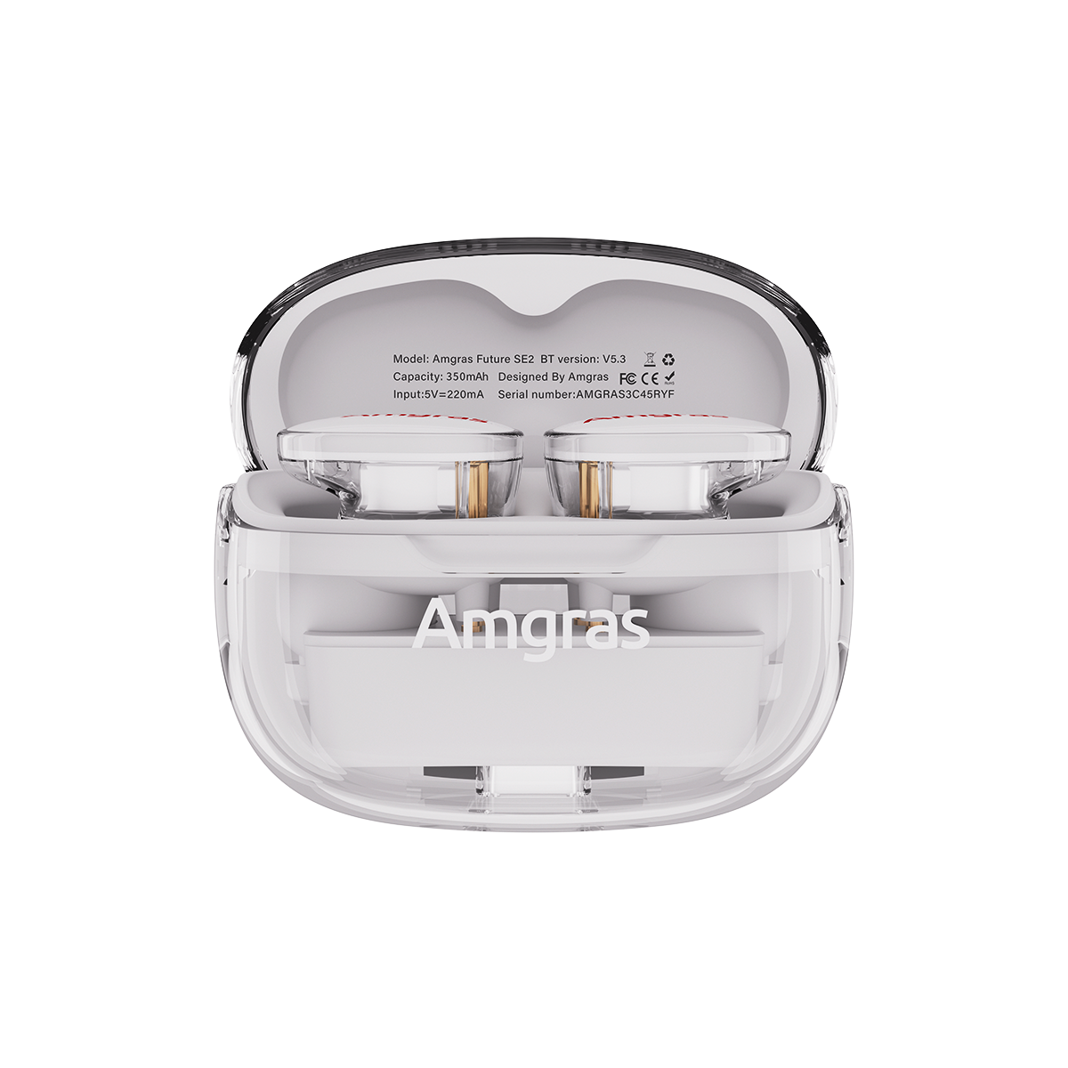 Amgras Future SE2