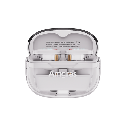 Amgras Future SE2