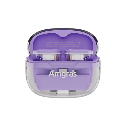 Amgras Future SE2