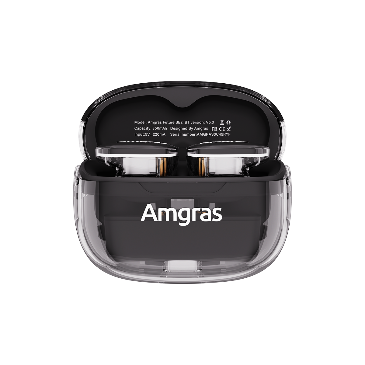 Amgras Future SE2